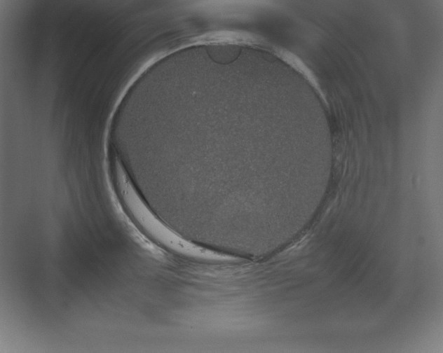 X0000070211091200606021249