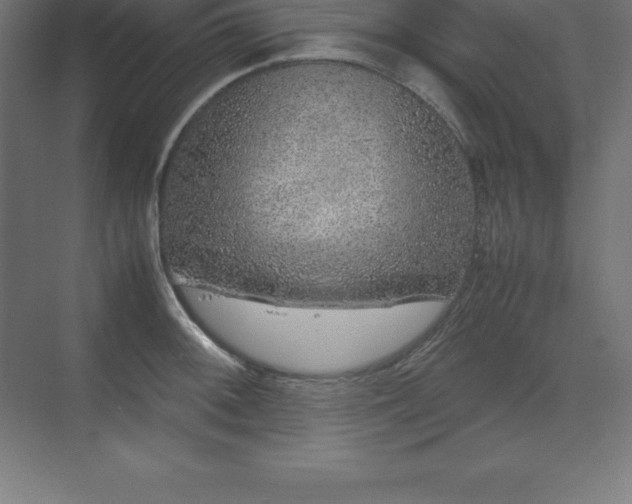 X0000070211092200606021249