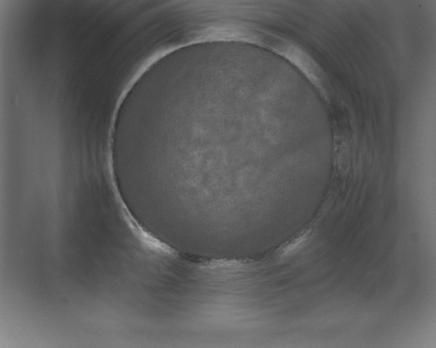 X0000070211094200606021249