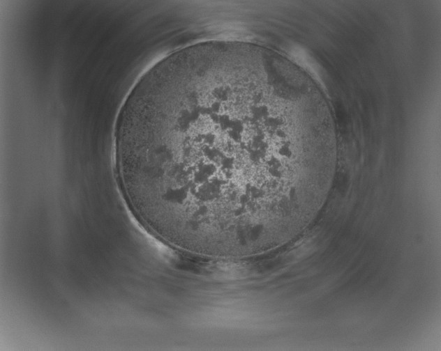 X0000070211095200606021249