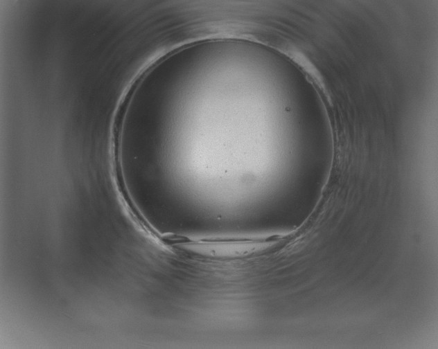 X0000070211096200606021249