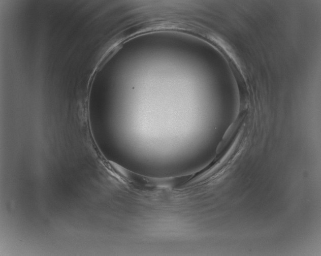 X0000070211097200606021249