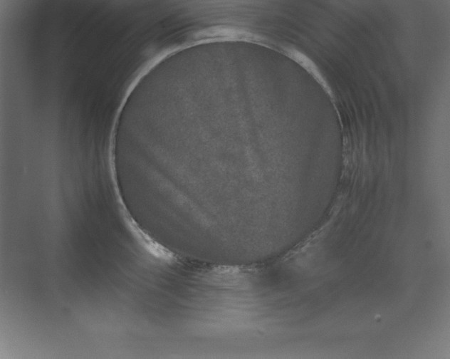 X0000070211098200606021249