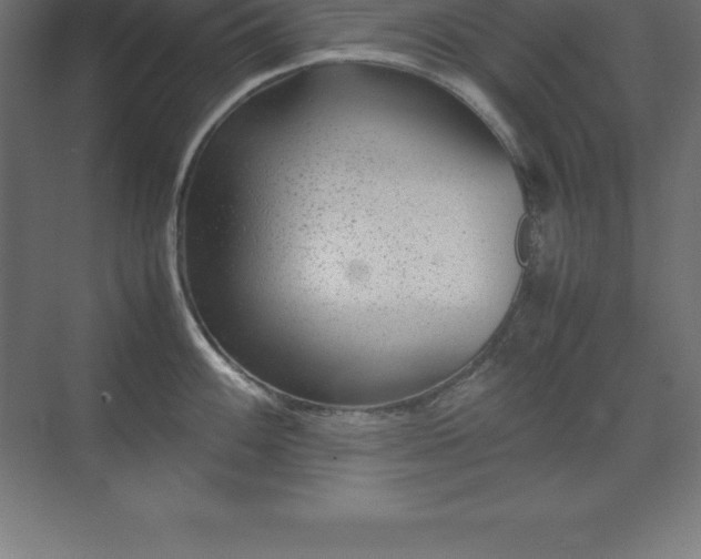 X0000070211100200606021249