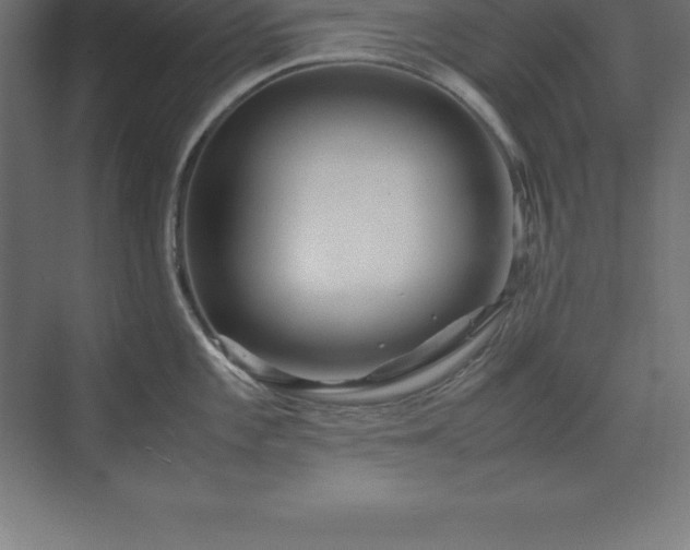 X0000070211101200606021249