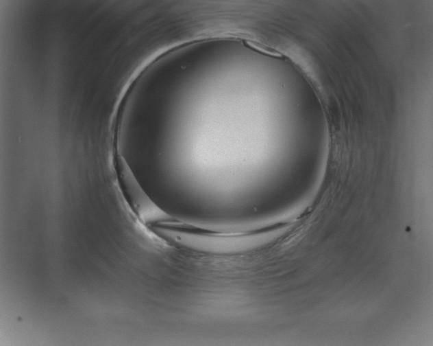 X0000070211102200606021249