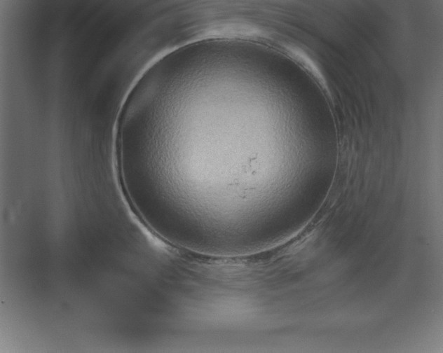 X0000070211103200606021249