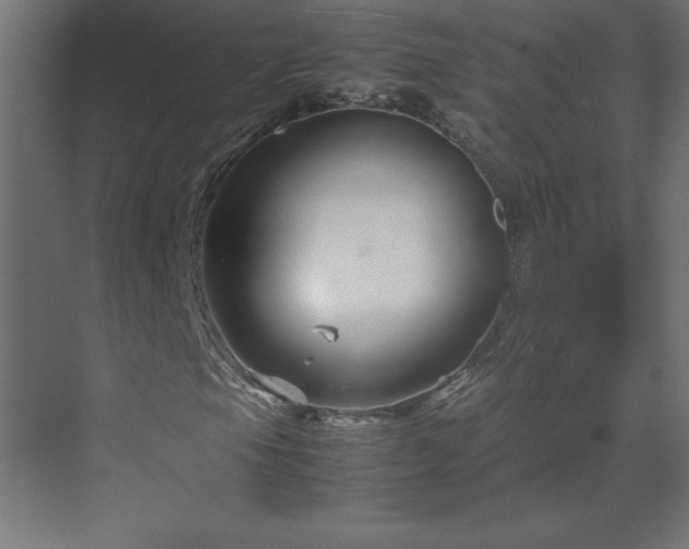 X0000070211105200606021248