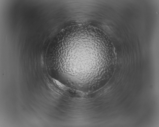 X0000070211106200606021248