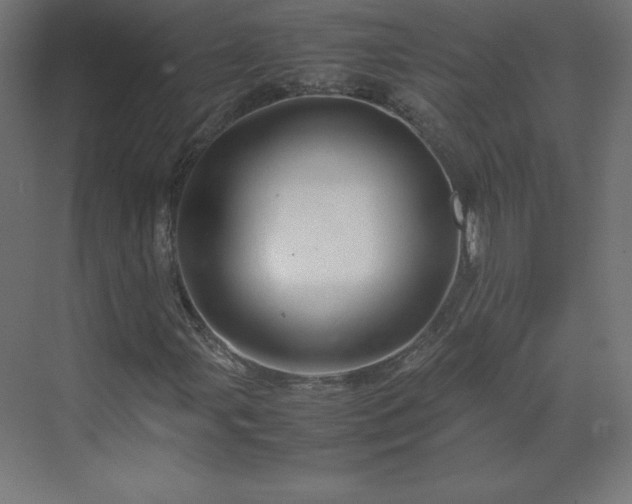 X0000070211107200606021248