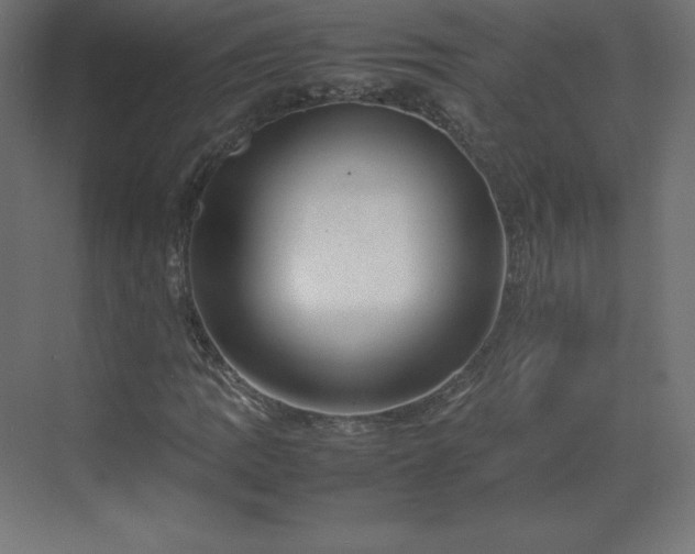 X0000070211109200606021248