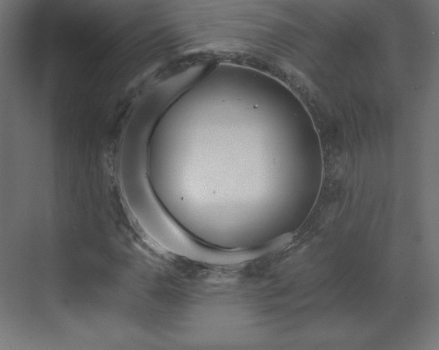 X0000070211110200606021248