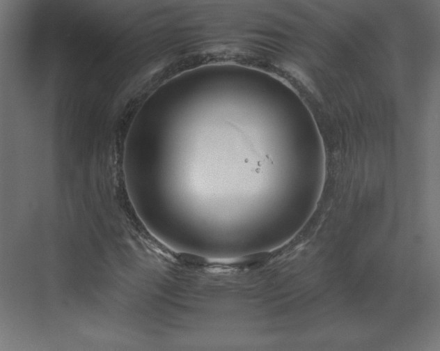 X0000070211111200606021248