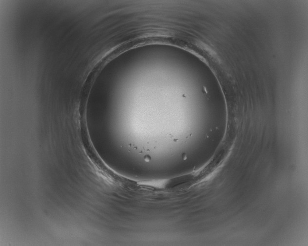 X0000070211113200606021248