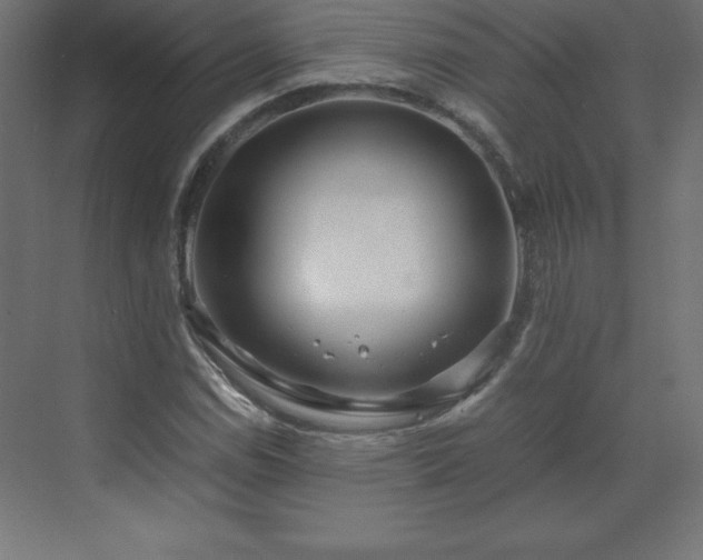 X0000070211114200606021248