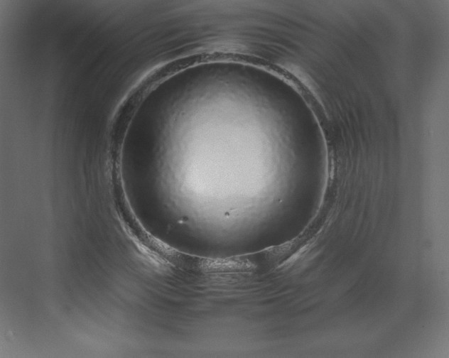 X0000070211115200606021248