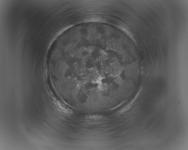 X0000070211117200606021248