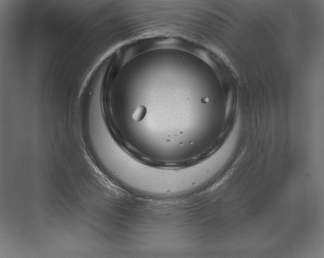 X0000070211118200606021248