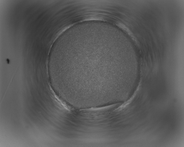 X0000070211121200606021248