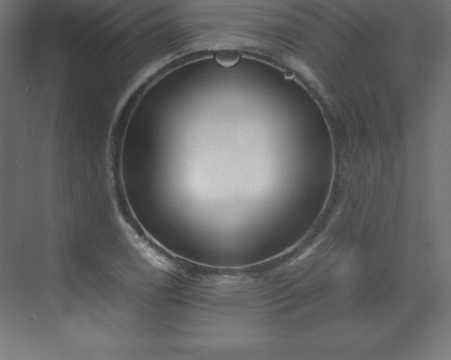 X0000070211122200606021248