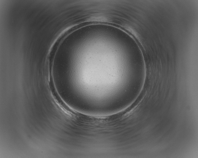 X0000070211123200606021248