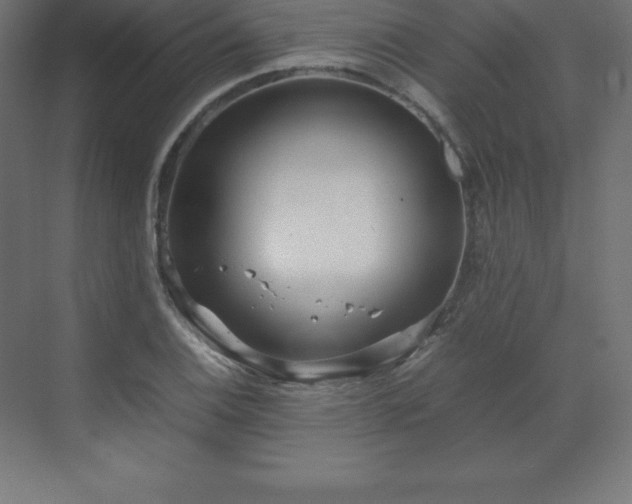 X0000070211124200606021248