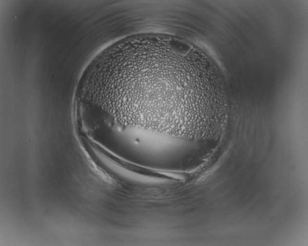 X0000070211125200606021248