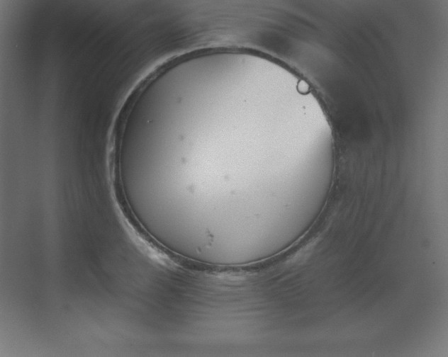 X0000070211126200606021248