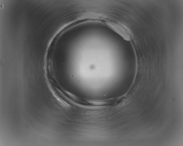 X0000070211128200606021248