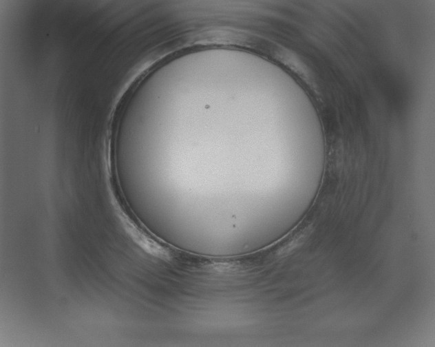 X0000070211130200606021248