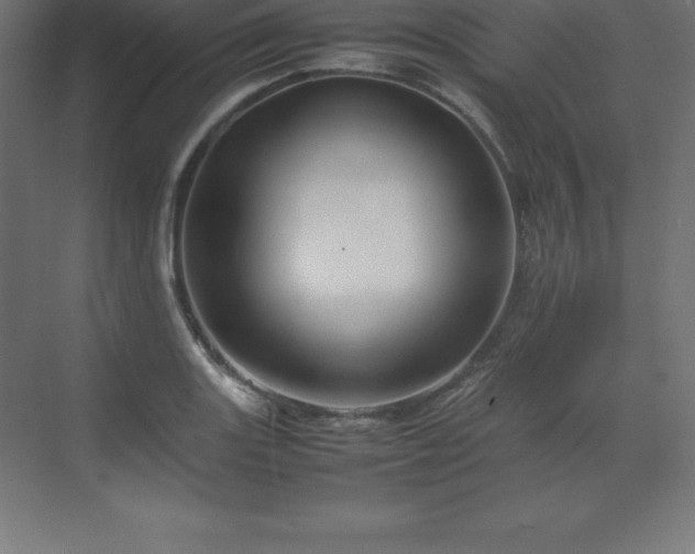 X0000070211131200606021248