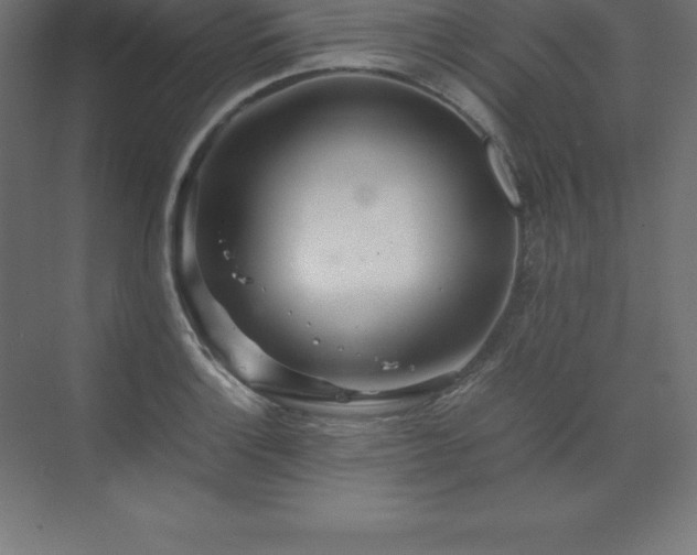 X0000070211132200606021248