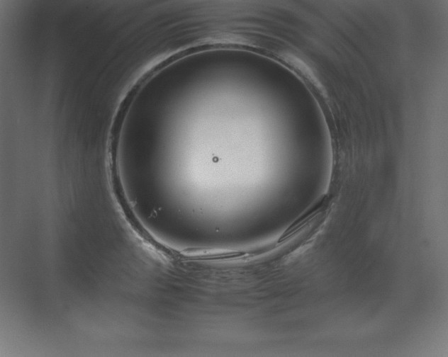 X0000070211133200606021248