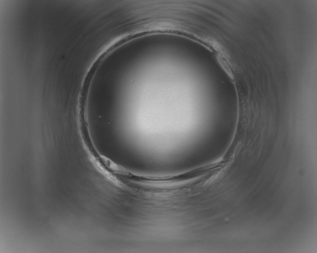 X0000070211134200606021248