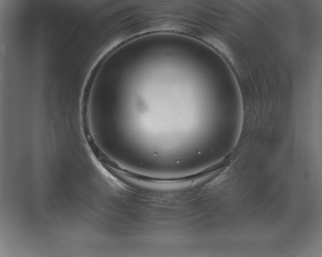 X0000070211135200606021248