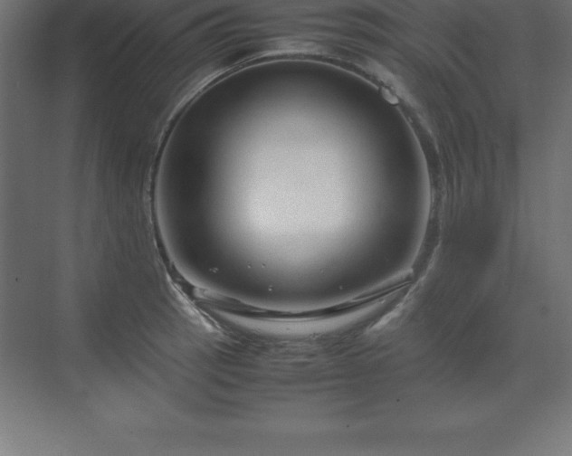 X0000070211137200606021248