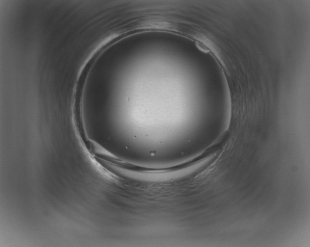 X0000070211139200606021248