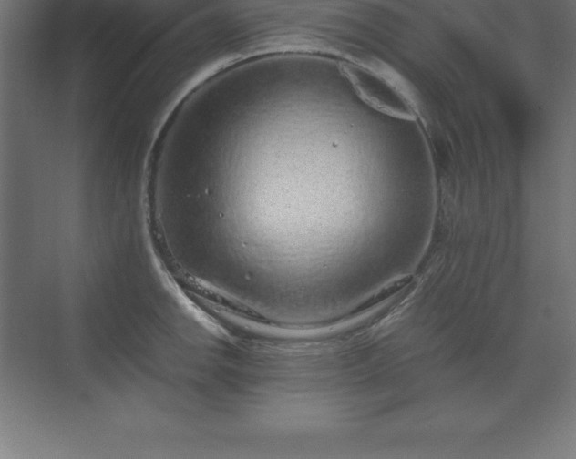 X0000070211142200606021248