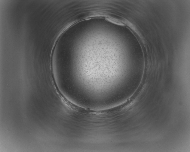 X0000070211145200606021248