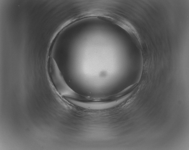 X0000070211146200606021248