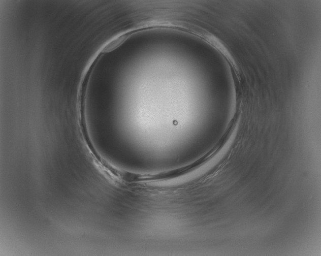 X0000070211148200606021248