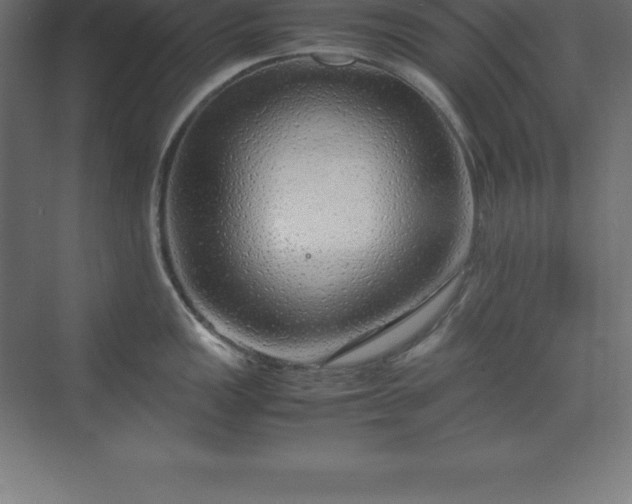 X0000070211149200606021248