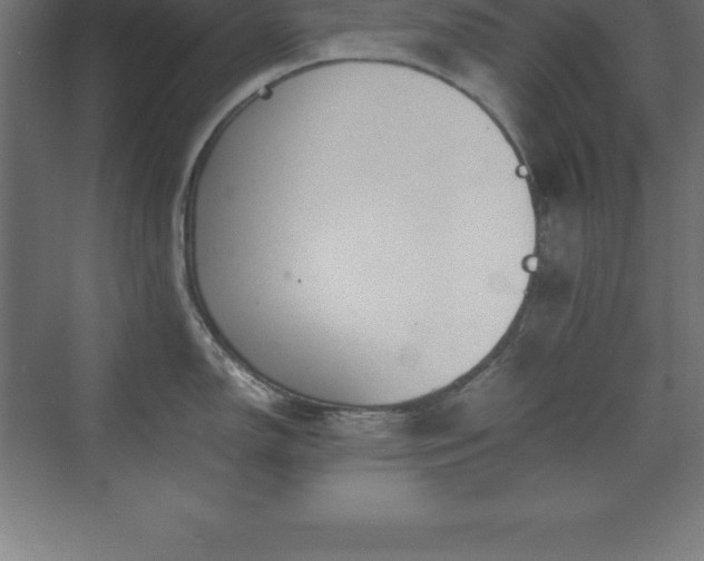 X0000070211150200606021248