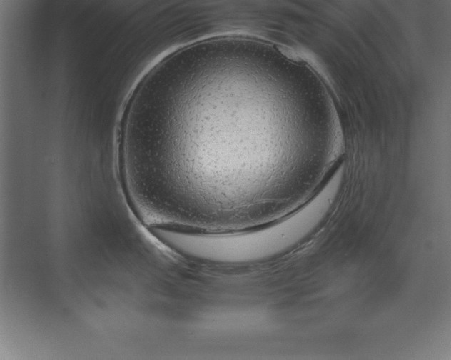 X0000070211151200606021248