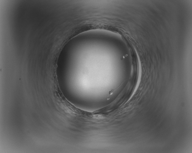 X0000070211153200606021248