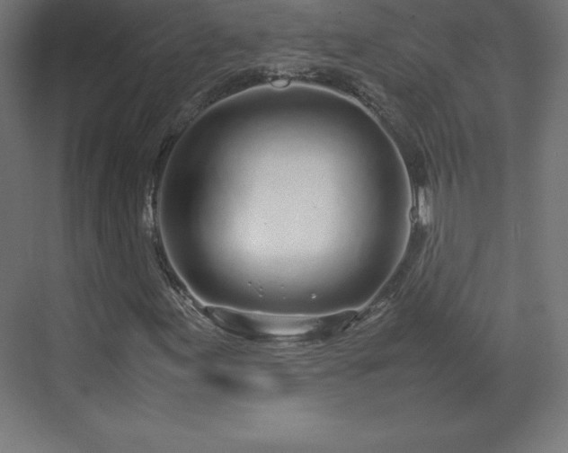 X0000070211155200606021248