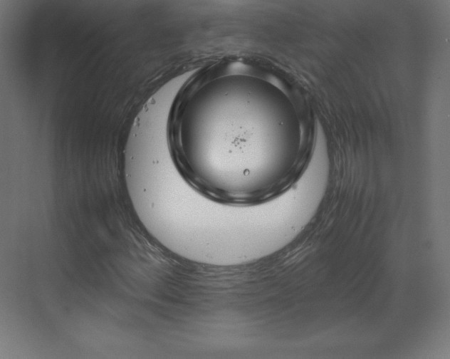 X0000070211156200606021248