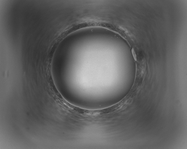 X0000070211157200606021248