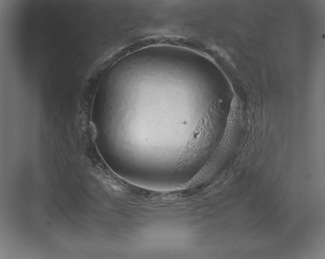 X0000070211159200606021248