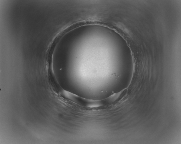 X0000070211160200606021248